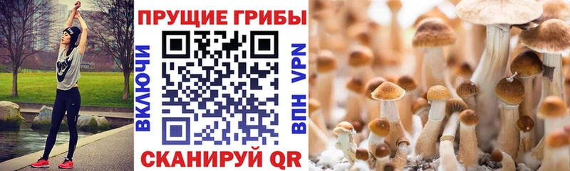 Галлюциногенные грибы GOLDEN TEACHER  что такое наркотик  Калязин 